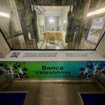 metro lilla3 | Banca Valsabbina